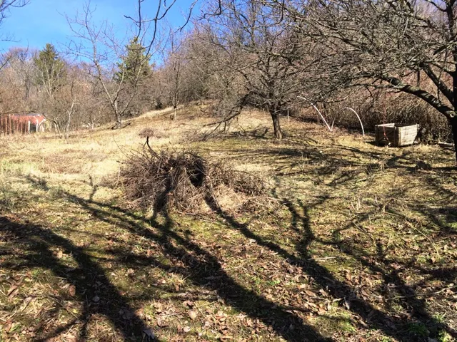 Eladó ház Pécs, Nagydeindoli 902 nm