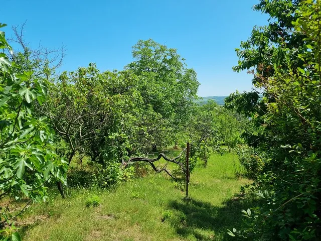 Eladó ház Pécs 937 nm