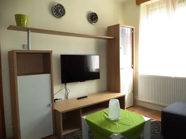 Kiadó lakás Pécs, Belváros 41 nm