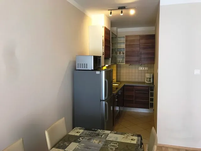Kiadó lakás Pécs, Egyetemváros 49 nm