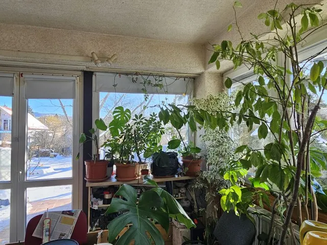 Eladó ház Budapest II. kerület 190 nm