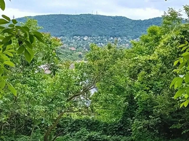 Eladó telek Budapest III. kerület 1063 nm