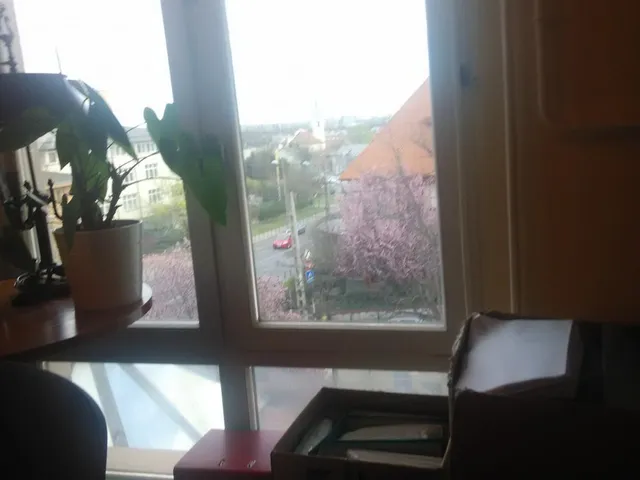 Kiadó kereskedelmi és ipari ingatlan Budapest II. kerület 75 nm