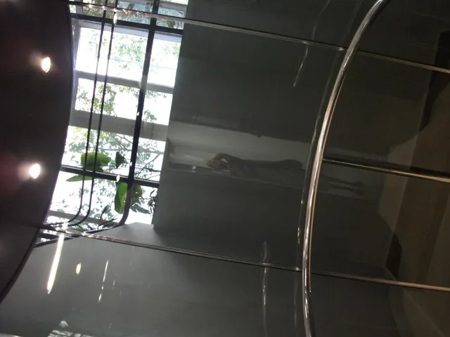 Kiadó kereskedelmi és ipari ingatlan Budapest IV. kerület 60 nm