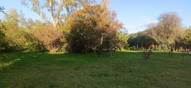 Eladó telek Budapest XXI. kerület 6500 nm