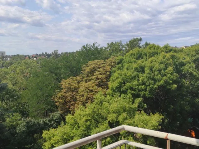 Eladó lakás Budapest XI. kerület 46 nm