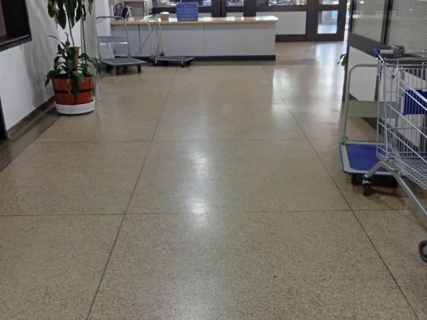 Kiadó kereskedelmi és ipari ingatlan Budapest III. kerület 329 nm