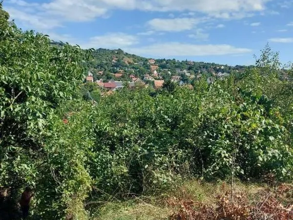 Eladó ház Pomáz 60 nm