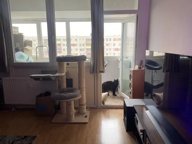 Eladó lakás Budapest XI. kerület 55 nm