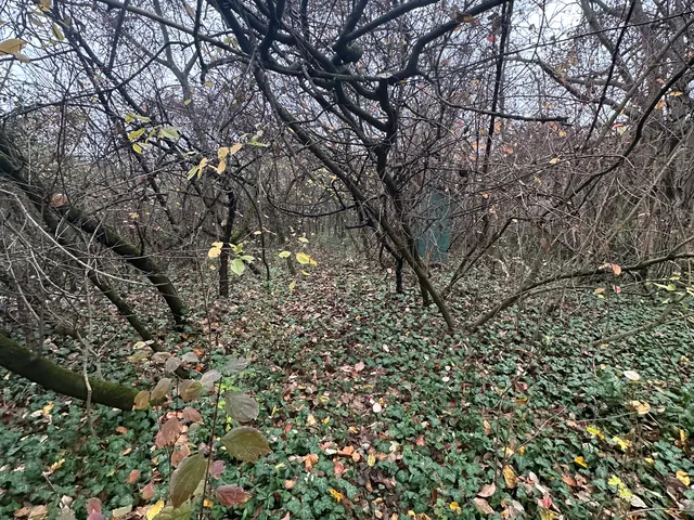 Eladó telek Kerepes 2080 nm