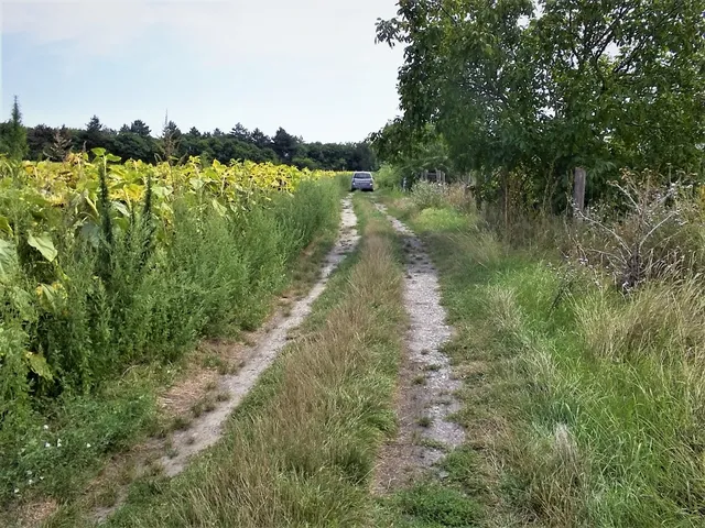 Eladó telek Kajászó 2300 nm