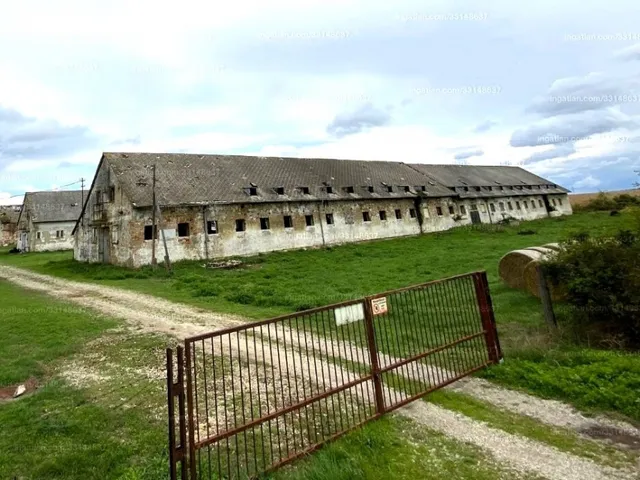 Eladó mezőgazdasági ingatlan Zámoly 4300 nm