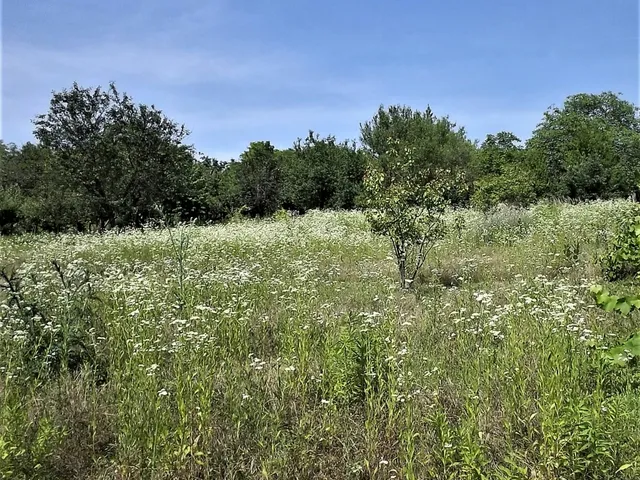 Eladó telek Vál 1479 nm