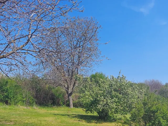 Eladó telek Sukoró 1500 nm