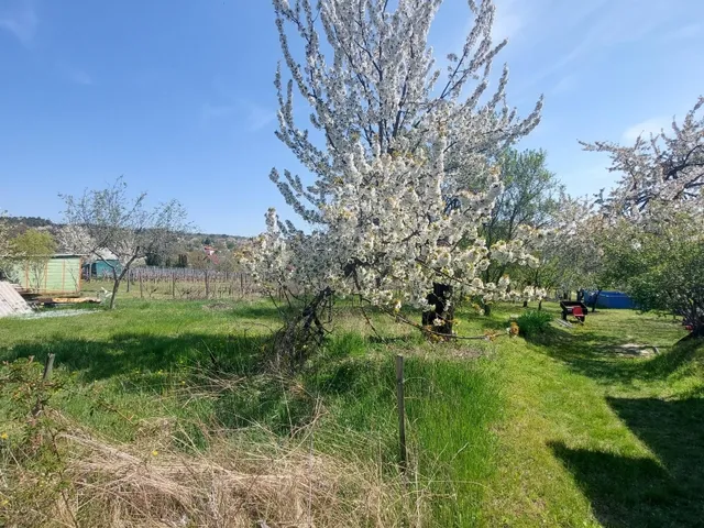 Eladó telek Sukoró 2632 nm