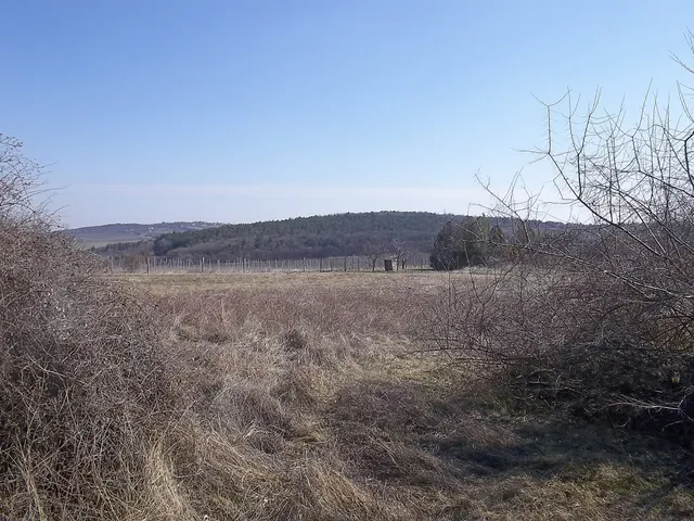 Eladó telek Nadap 1180 nm