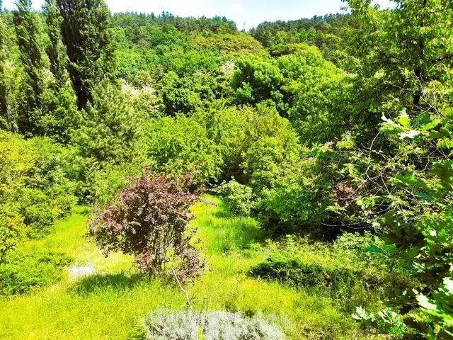 Eladó üdülő és hétvégi ház Sukoró 35 nm