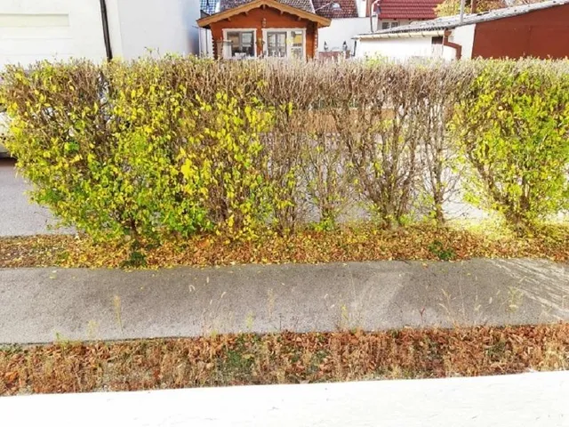 Eladó ház Székesfehérvár 75 nm