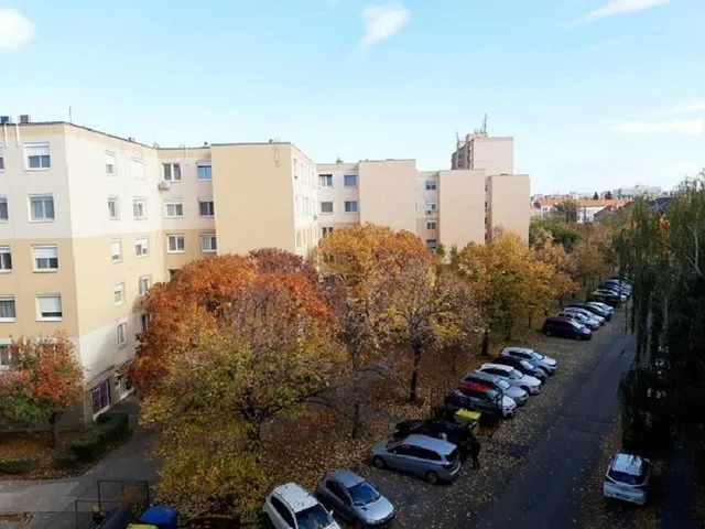 Kiadó lakás Székesfehérvár, Palotaváros 53 nm