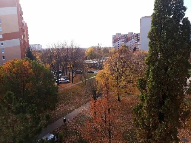 Kiadó lakás Székesfehérvár, Palotaváros 53 nm