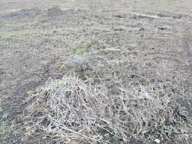 Eladó telek Pusztaszabolcs 867 nm