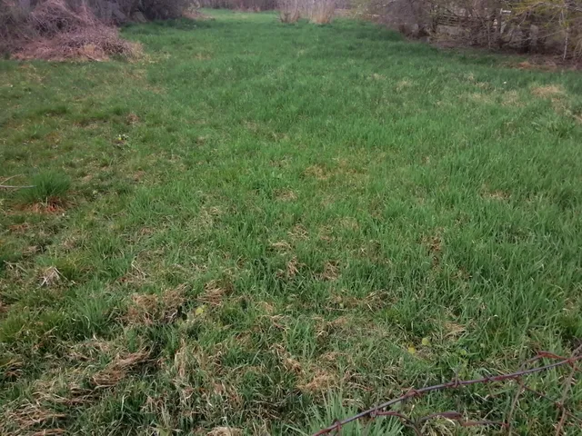 Eladó telek Pusztaszabolcs 367 nm