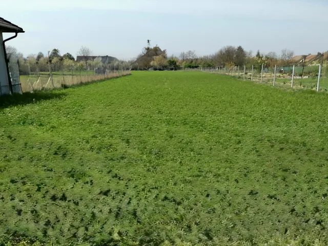 Eladó telek Iváncsa 2293 nm