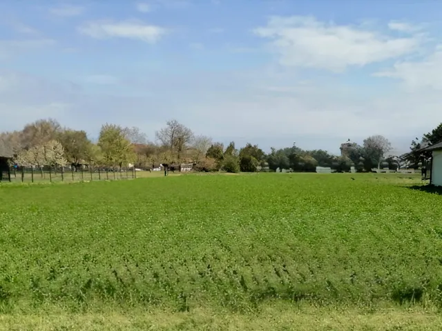 Eladó telek Iváncsa 1356 nm