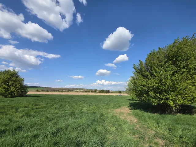 Eladó telek Velence 9995 nm