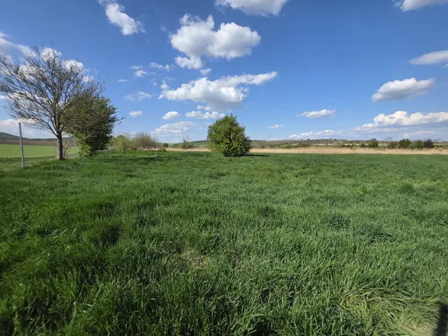 Eladó telek Velence 11995 nm