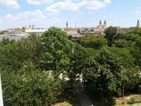 Eladó lakás Székesfehérvár, Palotaváros 55 nm