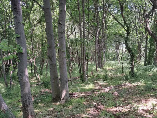 Eladó telek Nádasdladány 597000 nm
