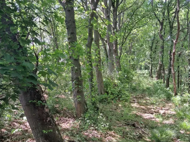 Eladó telek Nádasdladány 597000 nm
