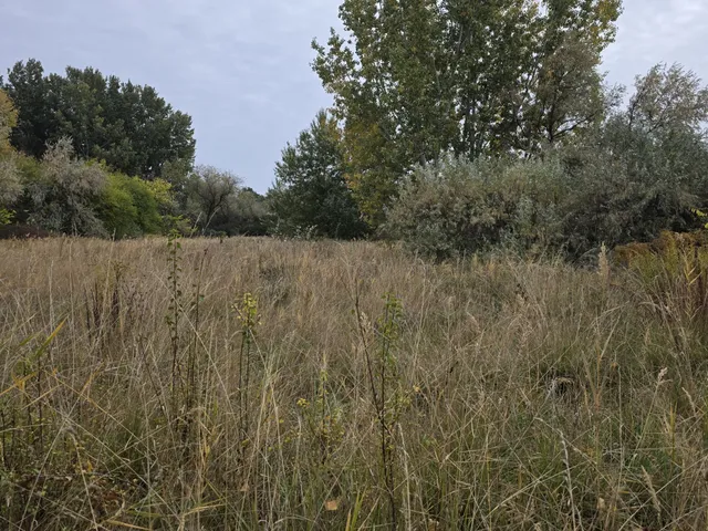 Eladó telek Gárdony 3306 nm