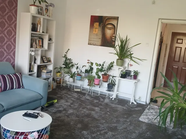 Eladó lakás Budapest XXI. kerület, Csillagtelep 63 nm