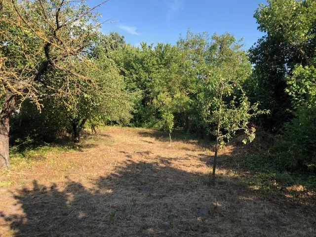 Eladó telek Szigetújfalu 25 nm