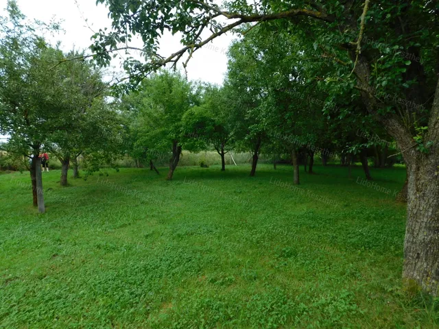 Eladó telek Kehidakustány 986 nm