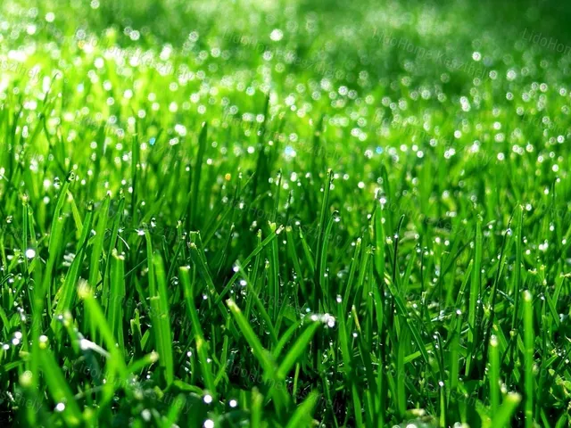 Eladó mezőgazdasági ingatlan Zalacsány 3740 nm