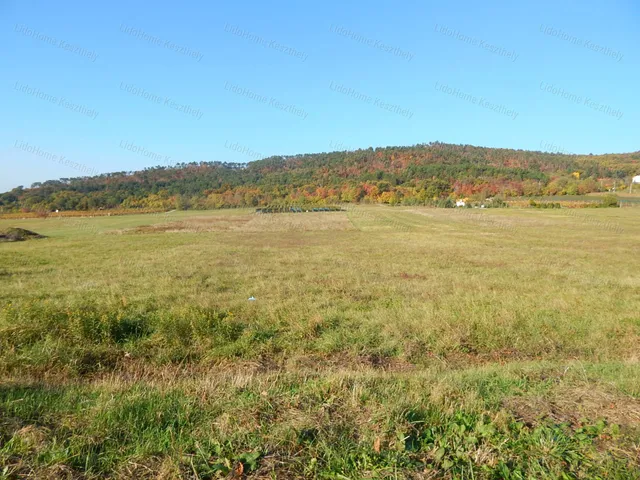 Eladó telek Balatongyörök 2000 nm