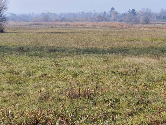 Eladó mezőgazdasági ingatlan Balatonkeresztúr 26239 nm