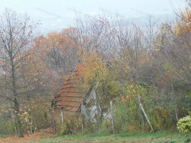 Eladó mezőgazdasági ingatlan Karmacs 5321 nm