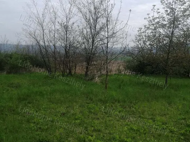 Eladó mezőgazdasági ingatlan Karmacs 2937 nm