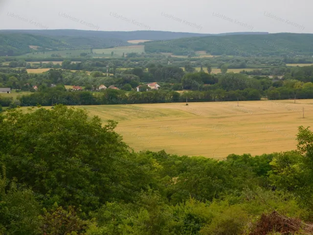 Eladó mezőgazdasági ingatlan Zalaszentlászló 4934 nm
