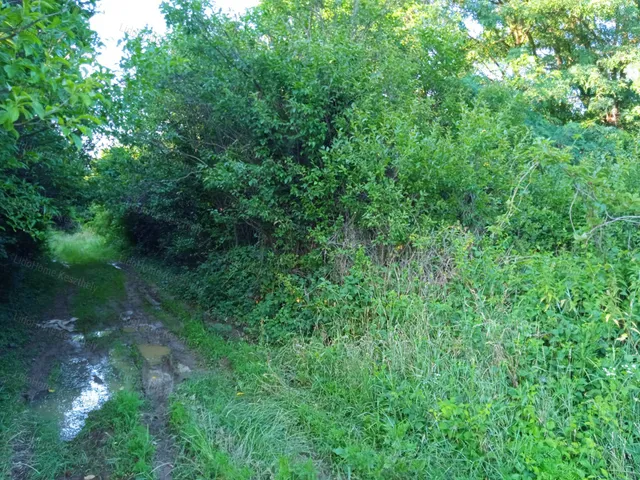 Eladó mezőgazdasági ingatlan Zalaszentlászló 1117 nm