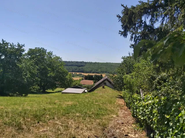 Eladó mezőgazdasági ingatlan Rezi 600 nm