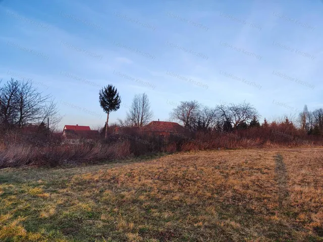 Eladó mezőgazdasági ingatlan Szentgyörgyvár 2021 nm