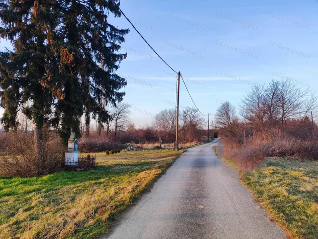 Eladó mezőgazdasági ingatlan Szentgyörgyvár 2021 nm