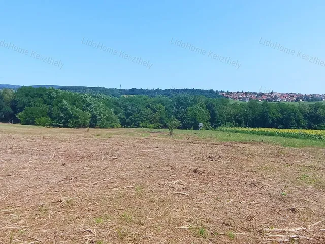 Eladó mezőgazdasági ingatlan Felsőpáhok 3477 nm