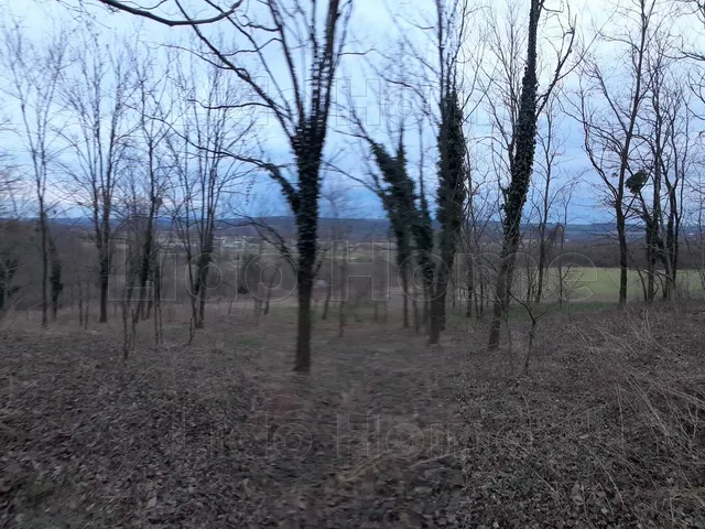 Eladó mezőgazdasági ingatlan Zalacsány 15 nm
