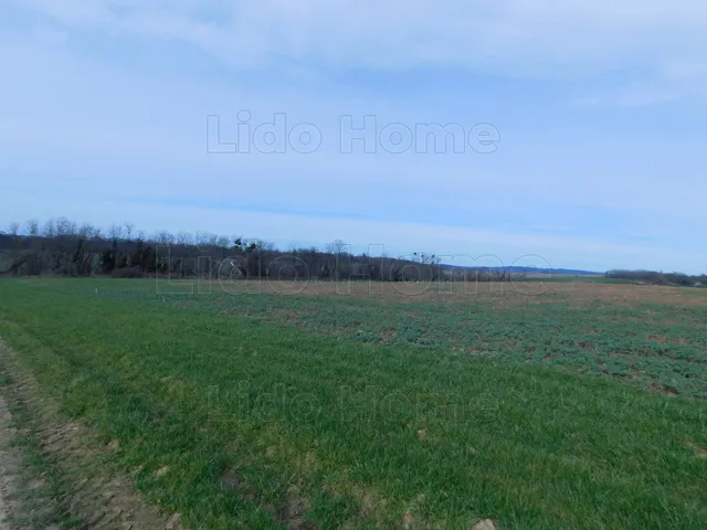 Eladó mezőgazdasági ingatlan Nemesbük 2163 nm